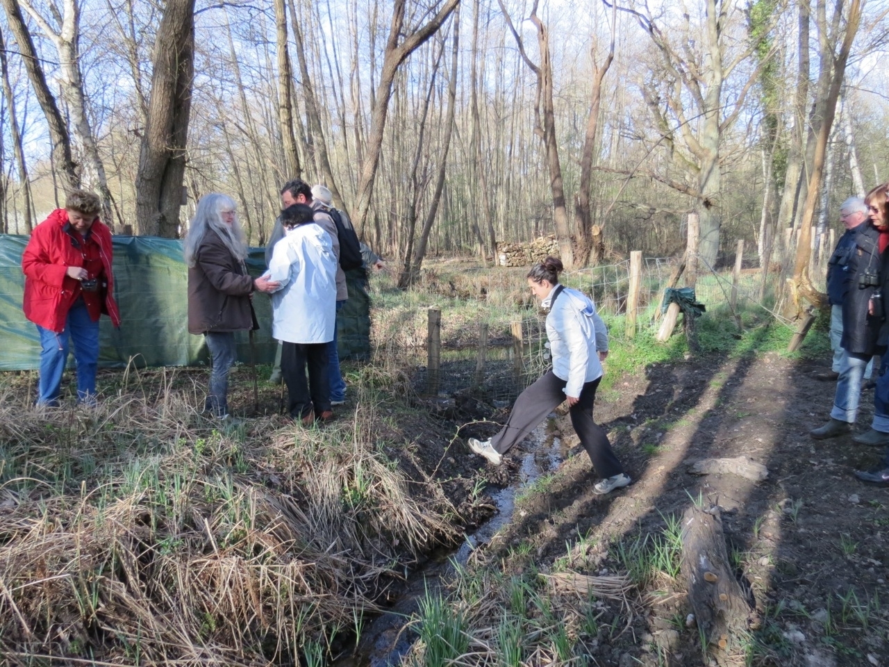 2012 04 21 Ornitho à Gambaiseuil 06